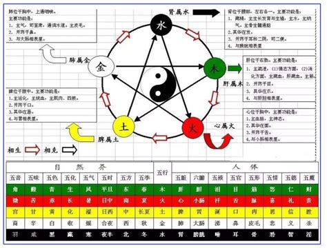 天干 顏色|十天干與五行所屬